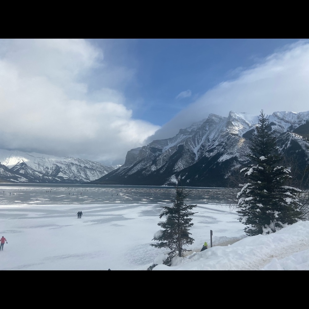 Meet your Posher, Danica